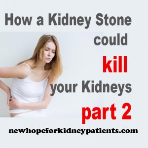 kidney-stone-twitter-part-2